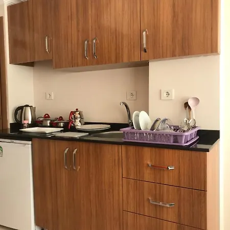 住宿加早餐酒店 Ikizler Apart